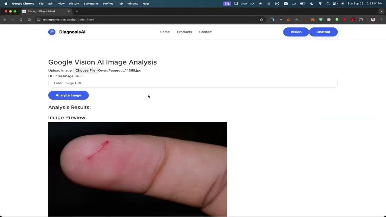 Diagnosis AI interface